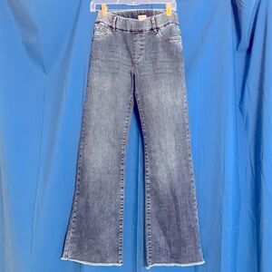 BEVY FLOG Jeans, Size 26, Elastic Waist Blue Denim Jeans